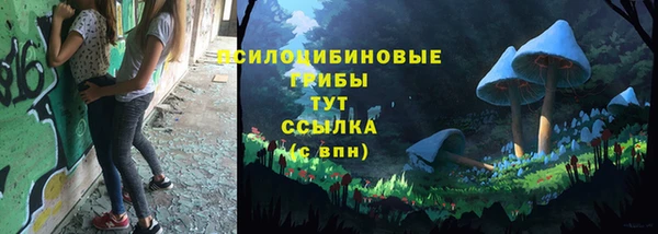 ешки Алексеевка